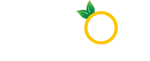 Lemon Studios Logo